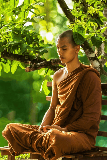 monk, meditate, zen