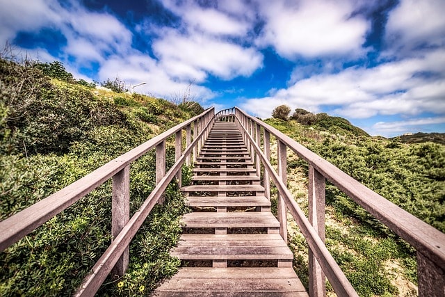 stairs, foliage, sky, travel, nature, outdoors, step, green, summer, walking, landscape, stairs, stairs, step, step, step, step, step